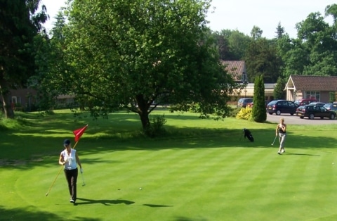 100 0464 480x314 Acf Cropped