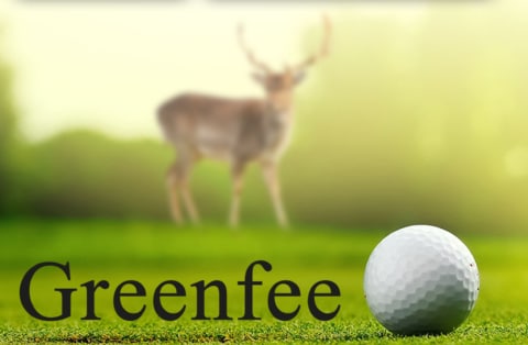 Greenfee Voorkant 480x314 Acf Cropped