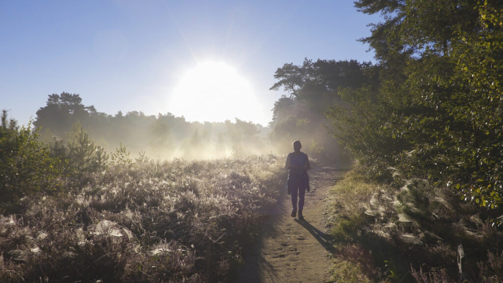 Twente, Natuur Voorjaar Wandelen