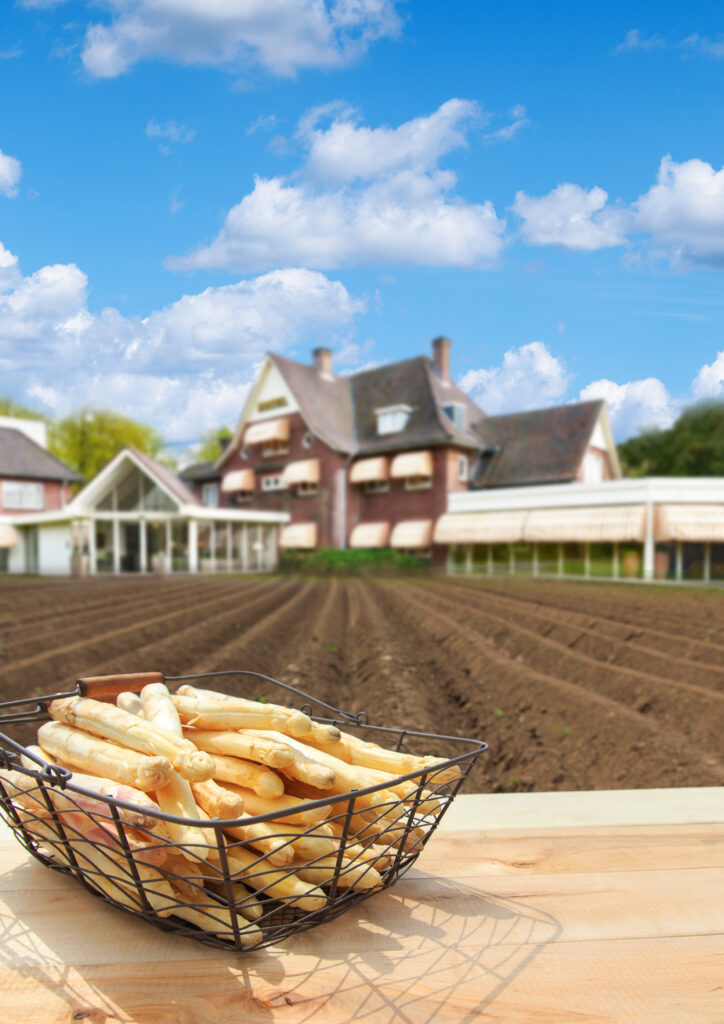 Kruisselt Asperge2