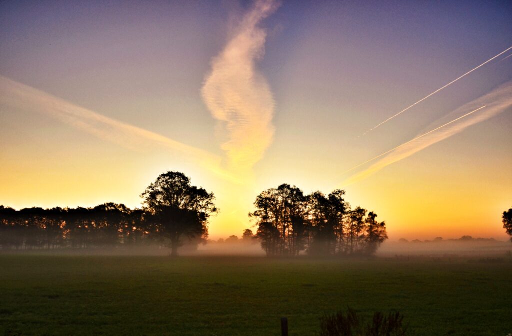 Twente